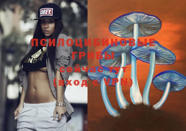 скорость Арсеньев