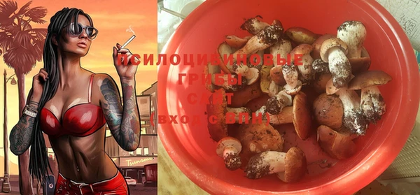 скорость Арсеньев